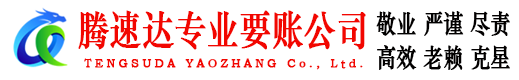 乐安清债公司